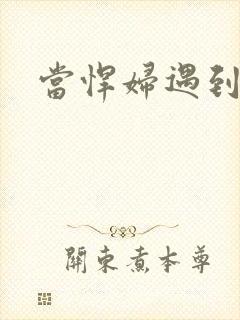 当悍妇遇到孝子