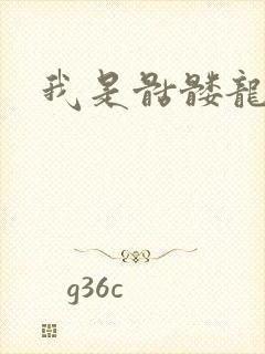 我是骷髅龙骑兵