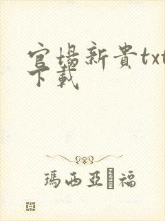 官场新贵txt下载