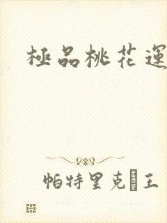 极品桃花运下载