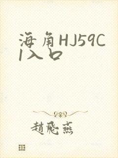 海角HJ59C1入口