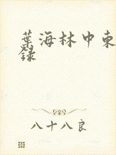 叶海林中东风云录