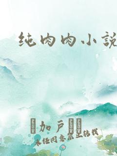 纯肉肉小说