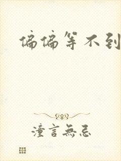 偏偏等不到小说