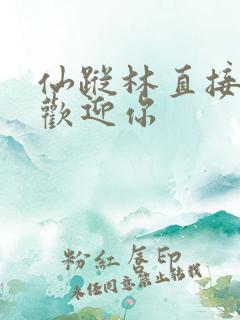 仙踪林直接入口欢迎你