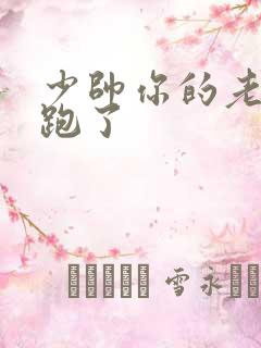 少帅你的老婆又跑了