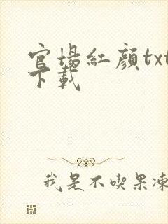官场红颜txt下载
