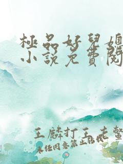 极品好儿媳苏灿小说免费阅读