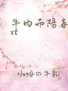 牛肉面阳春面txt