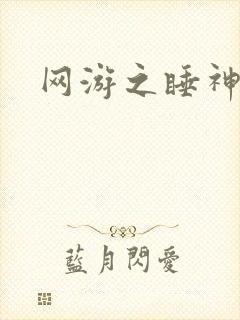 网游之睡神传说