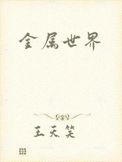 金属世界