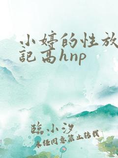 小婷的性放荡日记高hnp