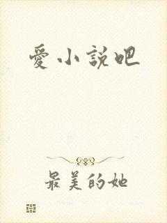 爱小说吧
