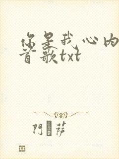 你是我心内的一首歌txt
