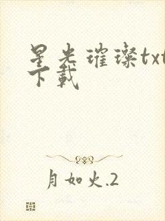 星光璀璨txt下载