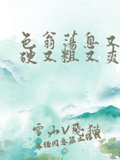 色翁荡息又大又硬又粗又爽