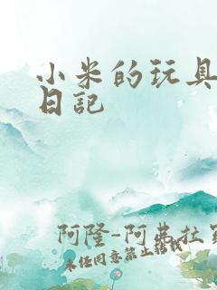 小米的玩具羞辱日记