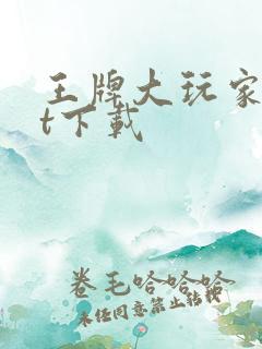 王牌大玩家txt下载