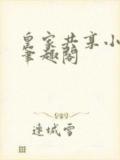 皇家共享小公主笔趣阁