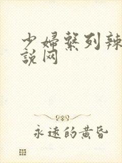 少妇系列辣文小说网