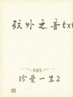 弦外之音txt