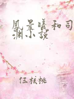 凤晨曦和司鸿颜渊小说