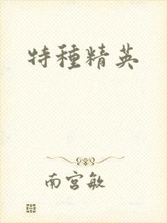 特种精英