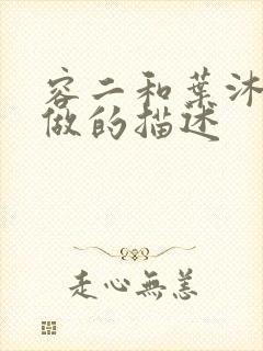 容二和叶沐走着做的描述