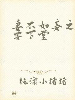 妻不如妾之夫人要下堂