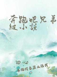 奔跑吧兄弟限制级小说