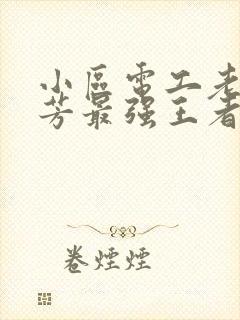 小区电工老周刘芳最强王者