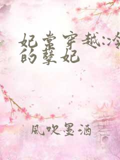 妃常穿越:冷王的孽妃