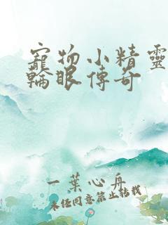 宠物小精灵之写轮眼传奇