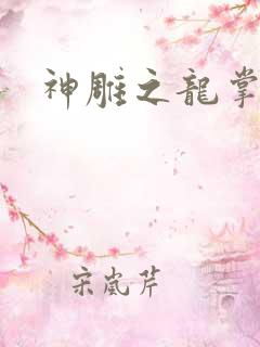 神雕之龙掌门