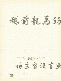 越前龙马的小说