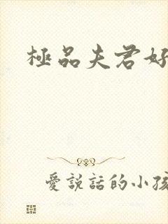 极品夫君好又多