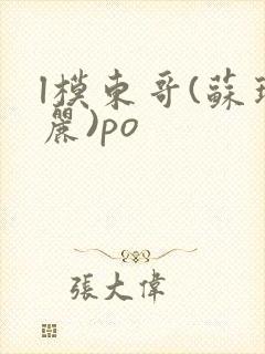 l模东哥(苏玛丽)po