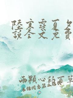 陆寒霆夏夕绾小说全文免费阅读落秋
