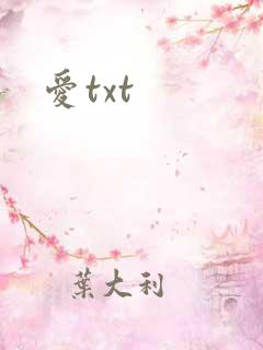 爱txt