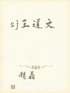 sj王道文