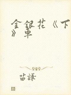 金银花《下厨房》车