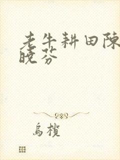 老牛耕田陈雪杨晓芬