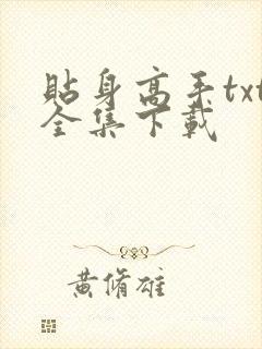 贴身高手txt全集下载