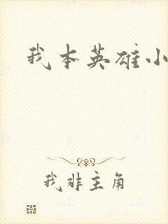 我本英雄小说