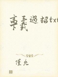 高手过招txt下载