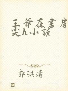 王爷在书房含乳尖h小说