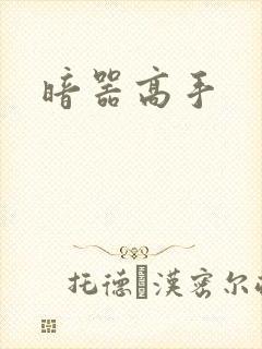 暗器高手