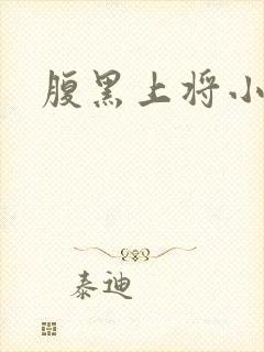 腹黑上将小小妻