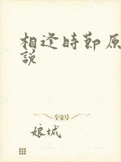 相逢时节原著小说
