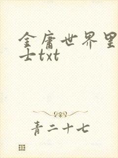 金庸世界里的道士txt